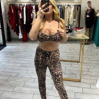 Coordinato Skims x DG